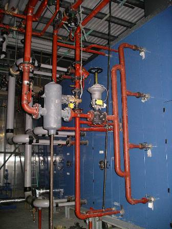 P fizer Research CNR STRS3