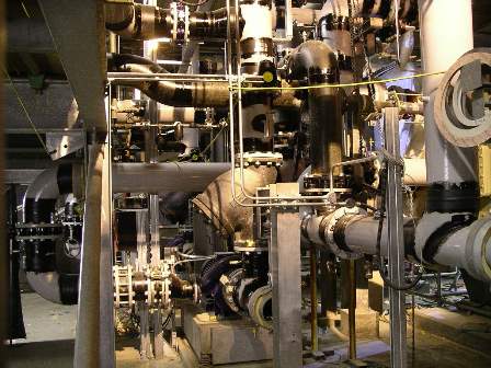 P fizer Research CNR